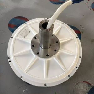 AFPMG560 5kw 220v Vertical Axis Wind Turbine Generator with 20 Years Design