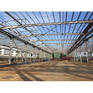 Customized Flexible Light Steel Structure Building Construction Long Span