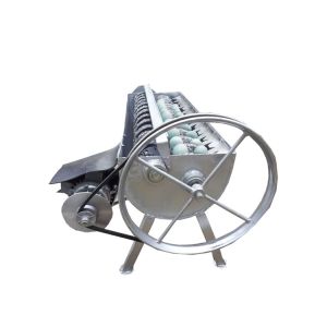 calamari squid slicer roasting machine baked sleeve fish roller flattening
