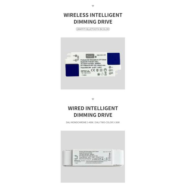 Wireless Intelligent LED Dimmable Driver Downlight Graffiti Bluetooth Two Color