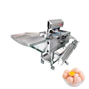 Stainless Steel Egg Separator Machine 3000pcs/H White Yolk Egg Breaking And