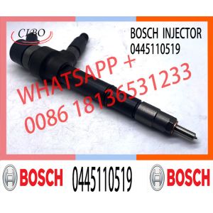 China Common Rail Diesel Injector 0445110519 For Mercedes Benz MITSUBISHI Engine on sale