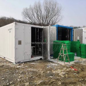 500kg/day Capacity Automatic Hydroponic Fodder Growing System with Energy Saving