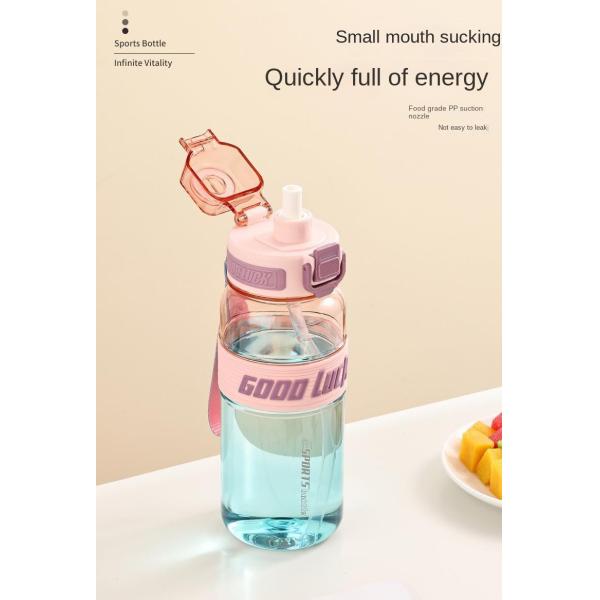 Lightweight 650ml 850ml Large Capacity Custom Plastic Water Bottles With Logo Fitness Portable Water Bottle For Travel Sealed And Leak Proof