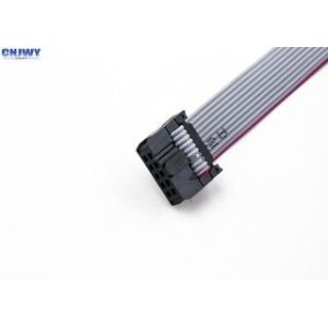 China Multi Conductor Flat Ribbon Cable Assembly Designed for Signal Transmission in Complex Electronic Systems on sale