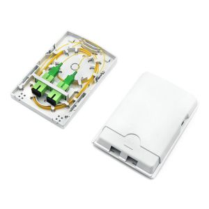 2 Ports FTTH Wall Box Indoor Optical Outlet With SC Simplex LC Duplex Adapters