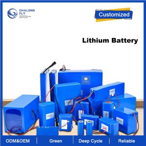 OEM ODM LiFePO4 lithium battery pack 60V 10Ah 20Ah 30Ah Customized battery