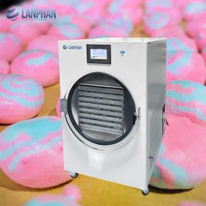 3M2 Lanphan Candy Cake Freeze Dryer Machine Fruit Vegetable Freeze Drying