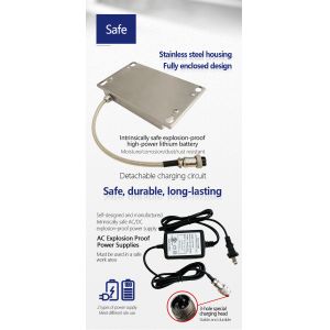 SH8P 304 Series Stainless Steel 30-300KG Explosion-Proof Scale LED Display