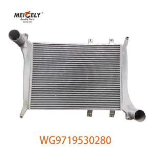 OEM WG9719530280 For Howo Intercooler Assembly WG9719530281