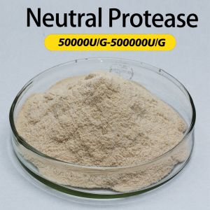 Customized Protease In Baking 50000U/G-500000U/G Flour Gluten Reduction