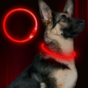 USB Rechargeable Pet Industries LED Dog Collar Weatherproof Three Glow Modes