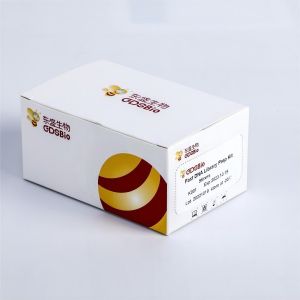 GDS Fast Fragmentation End Prep Module #K032