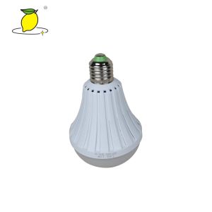 Professional Rechargeable Emergency LED Bulb 5W With High Brightness