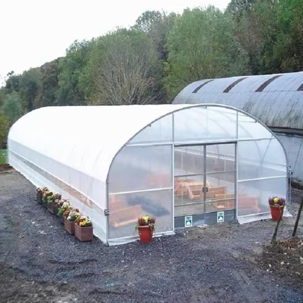 Economical Low Cost Plastic Film Single-span Poly Tunnel Galvanized Greenhouse Tent