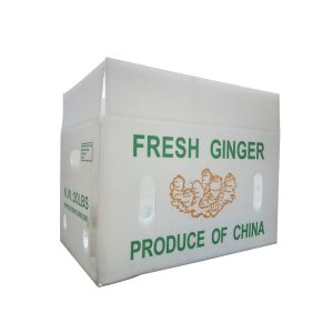 PP PE Mango Corrugated Box Polypropylene Corflute Storage Boxes