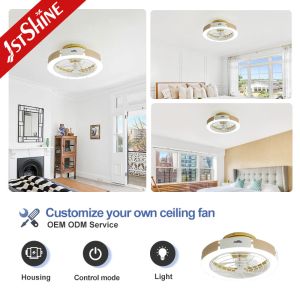 110-240V/50Hz-60Hz Input Voltage Bedroom Indoor Ceiling Fan Light with Remote