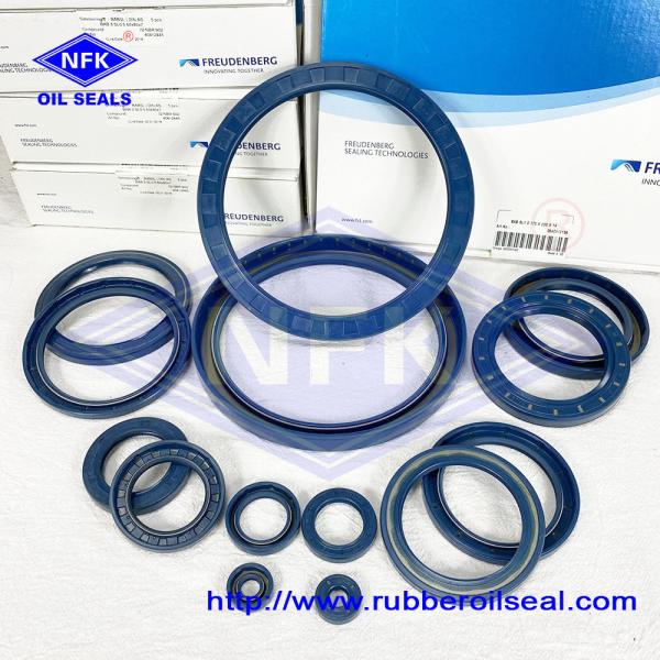 Aging Resistant Hydraulic Oil Seals