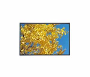 Cheap 10.1'' 1920*1080 TFT FHD LCD Module with touch standard for sale