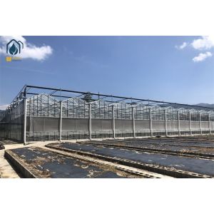 China Hot Galvanized Steel Pipe Tempered Glass Greenhouse 8m 9.6m 12m Span Width on sale