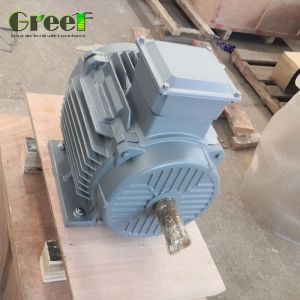 3MW 2MW Pm Motor Customized Low Speed Efficiency 95%
