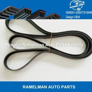 factory supply teeth belt pk belt timing belt with high quality Z502-12-205/123
