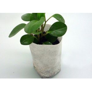 2% UV Agriculture PP Non Woven Landscape Fabric All GSM Various Color