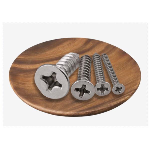 ANSI/ASME Standard SS304 SS316 Stainless Steel Self Tapping Deck Screw DIN7982 for Construction Corrosion Resistant