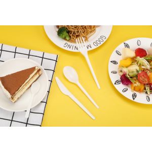 6" Lightweight CPLA Biodegradable Tableware For Birthday Party