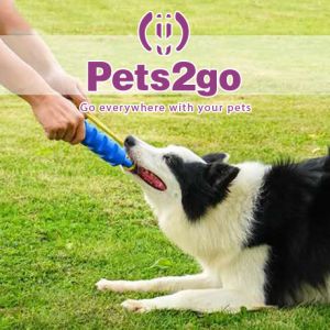 Vocalize 175X40mm Chew Toys For Tough Chewers