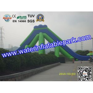 Giant Inflatable Water Slide For Adult , Hippo Inflatable Slide In Amusement