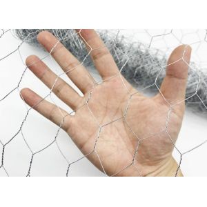 Galvanized Hexagonal Wire Mesh For Chicken Wire Mesh