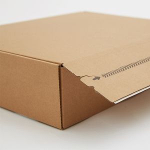 Customized Private Logo Corrugated Shipping Adhesive Tear Strip Open Postal Box