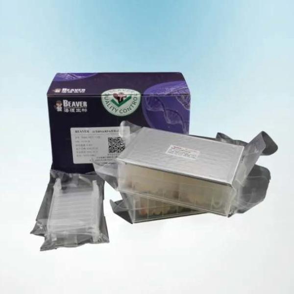 Quality FDA Viral DNA RNA Purification Kit For A Varity Of Target Source wholesale