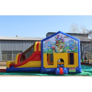 Customized Color Inflatable Water Slide for Unisex Commercial Bouncer and Bouncy