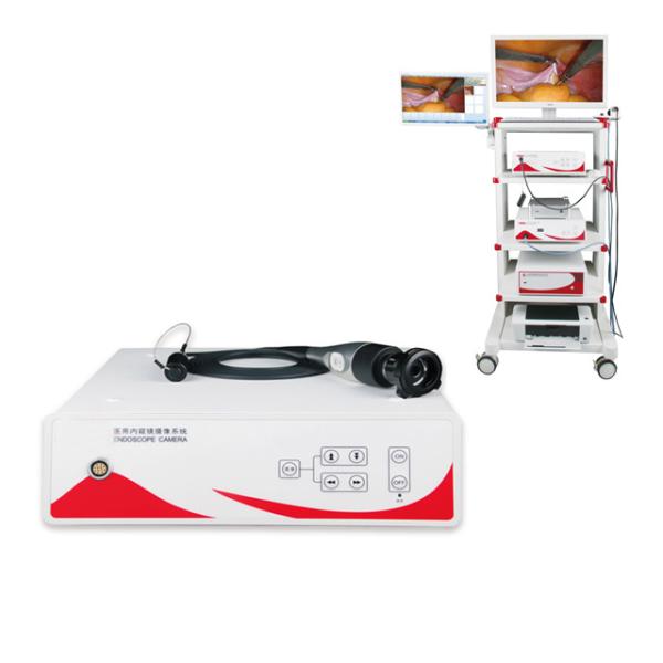 Laparoscopic Camera HD ENT Endoscopy Camera System Ce Free Spare Parts Electricity 2 Years Electronic Endoscope