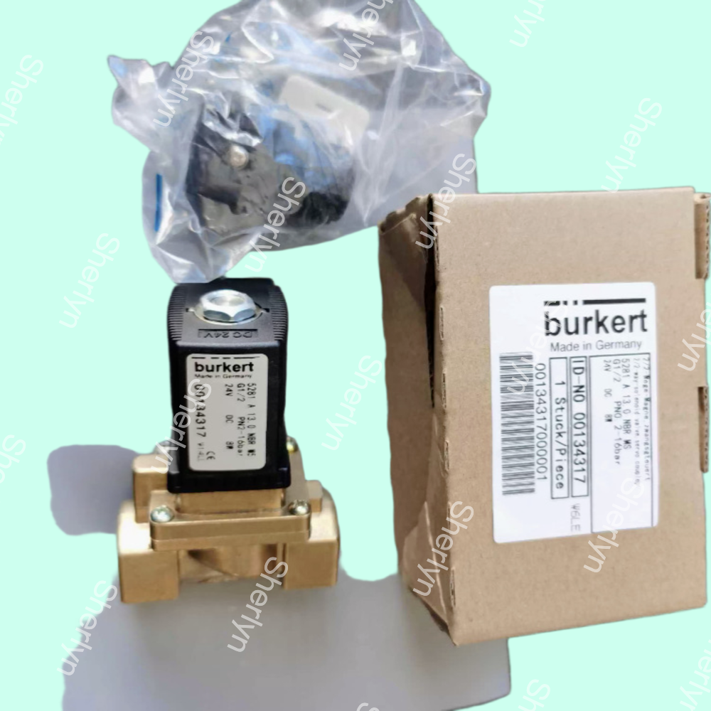 00221846 Burkert Solenoid Valve AC220V G1/2
