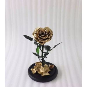 Never fade gold dipped heart shape real preserved gold rose in glass