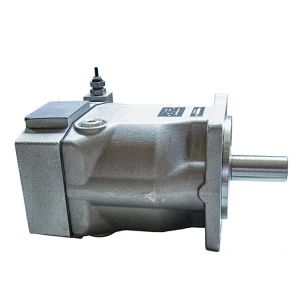 Plunger Parker Hydraulic Pump PV020R1K1T1NMR1 PV020R1K1T1NUPG PV023R1E1T1NGLC