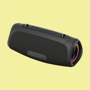 Portable Outdoor Party Speaker with USB Disk Function and 20Hz-20KHz Frequency