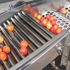 Fruit bubble washing and sorting production line Fruit Vegetable FOOD processing