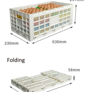 PE Material Custom Plastic Egg Tray for Food Storage Container Sturdy Mesh Style