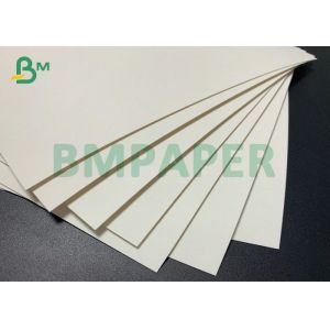 Cup Paper C1S C2S 15g PE Coated Paper 185gsm 210gsm For Paper Cups