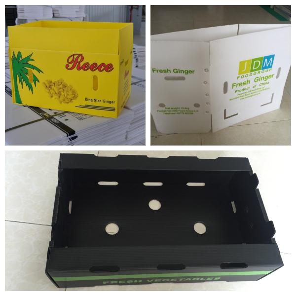 Vegetable Corrugated Plastic Packaging Coroplast Reusable Corrugated Boxes