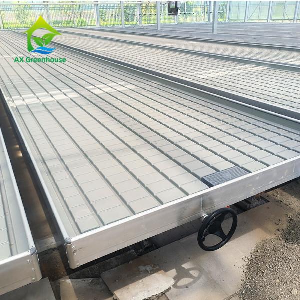 Quality Movable Hydroponic Ebb And Flood Customized Greenhouse Rolling Benches Seedbed wholesale
