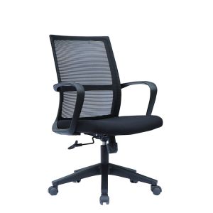 Skeletal Back Frame Mesh Pc Chair , 60mm Executive Swivel Tilt Chair