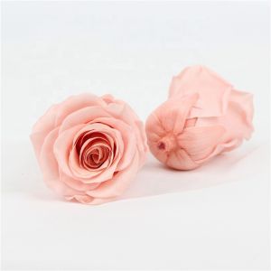 Pliability Maintaining Preserved Rose Heads Excellent Flowers Eternity