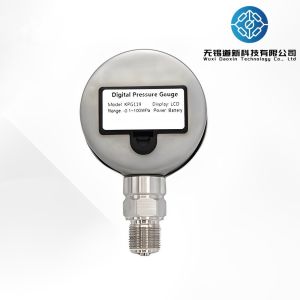 Industrial Pressure Gauge With Large LCD Digital Display And IP65 Stainless