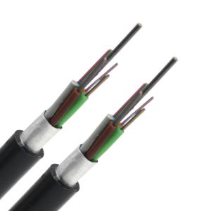 Singlemode G.652D Fiber Type 24 Core Armored Fiber Optic Cable for Customized