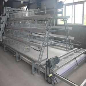 China SONCAP Poultry Broiler Chicken Cage Equipment Coop For Layer on sale